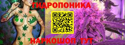 метамфетамин Партизанск