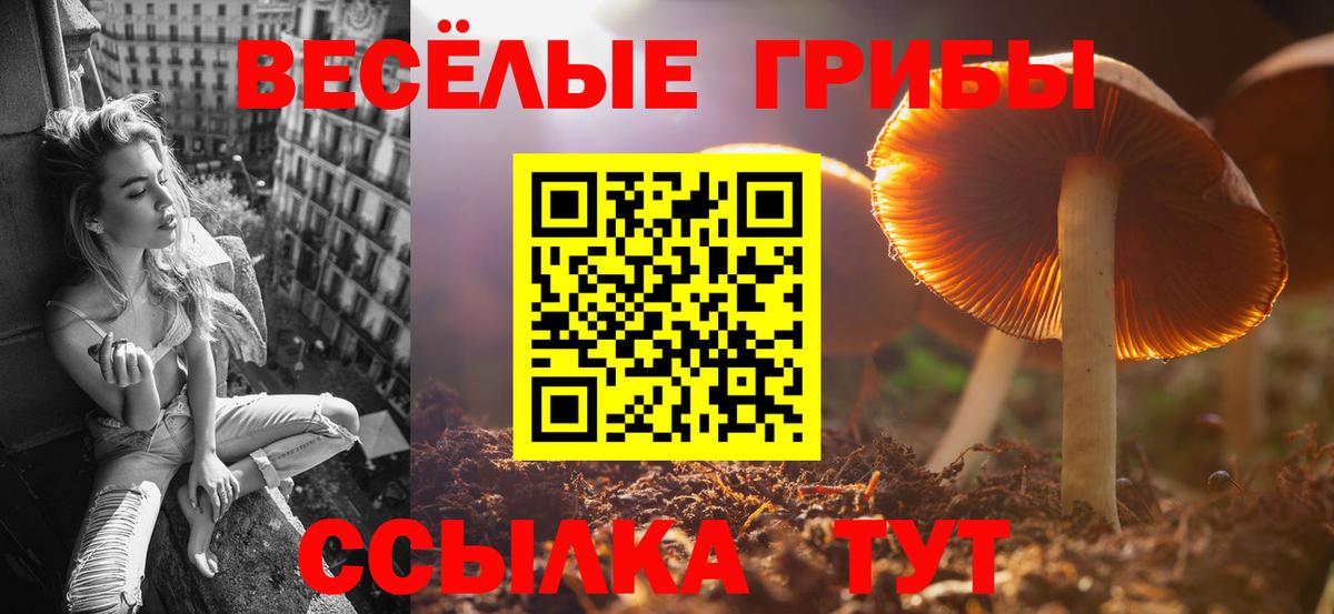Галлюциногенные грибы GOLDEN TEACHER Оренбург