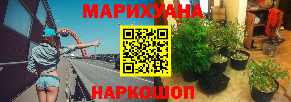 Оренбург  Каннабис ГИДРОПОН  Конопля ГИДРОПОН  Каннабис гибрид  Вход с VPN  Шишки марихуана семена 